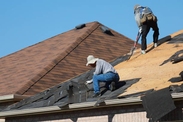 Best Roof Moss and Algae Removal  in Mckinley, PA