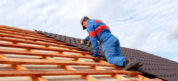 Best Solar Panel Roofing Installation  in Mckinley, PA